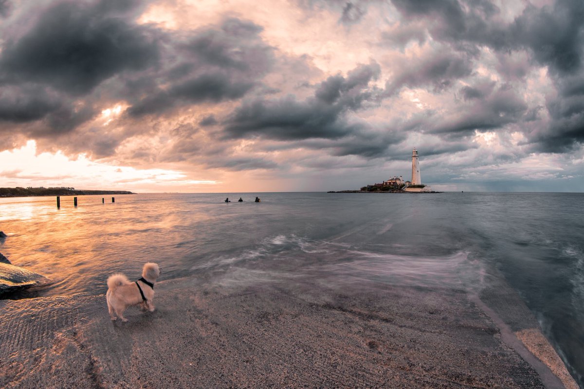A Lighthouse, 3 Divers and a Dog.
#stmarys <a href="/BBCNEandCumbria/">BBC North East</a> <a href="/thenortheastHUB/">The North East HUB</a> <a href="/earthskyscience/">EarthSky</a> <a href="/EarthandClouds/">Earth and Clouds</a> <a href="/ThePhotoHour/">#ThePhotoHour</a> <a href="/StormHour/">#StormHour</a> #photography