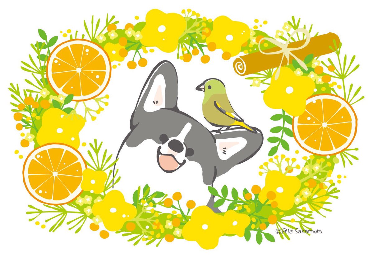 「8月7日で花の日なので、お花とコーギーと鳥たち
#corgi #コーギー #イラ」|サカモトリエ/イラストレーターのイラスト