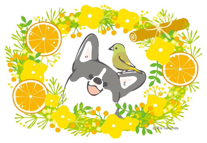 「花 レモン」のTwitter画像/イラスト(古い順)