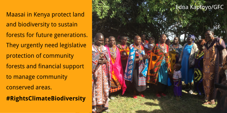 ActionAidUSA's tweet image. Through #forest expansion, #agroecology, indigenous &amp;amp; community rights, &amp;amp; transformative agricultural practices that help eliminate over-production &amp;amp; consumption, we can avoid dangerous reliance on untested geoengineering approaches. #MissingPathways #SRCCL