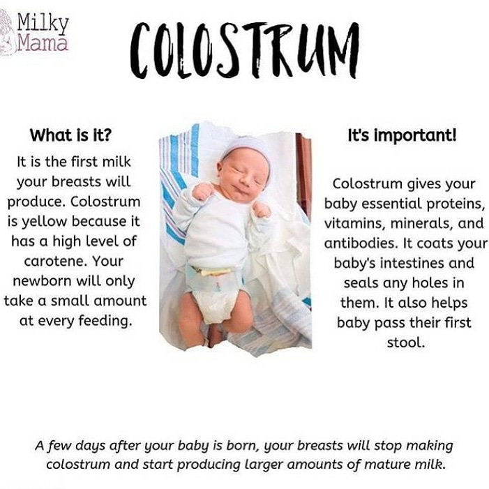 TaliseXavier's tweet photo. #motherofsix #breastfeeding #breastfeedingtips #colostrum #colostrummilk #supercolostrum #colostrum #breastfeedinghelp #breastfeed #breastisbest #breastfeedingmom #breastisbestwithoutfear #breastfeedingsupport #breastfeedingatwork #breastfeedinginpublic #breastfeedingmama https://t.co/qYpKZdAs75