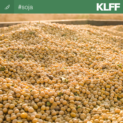 KleffmannBR's tweet photo. Preparação para plantio de soja começa em breve no cerrado.  https://t.co/JL1HlS4bEo
#soja #cerrado #campo #safra https://t.co/NGdOcMBEXl