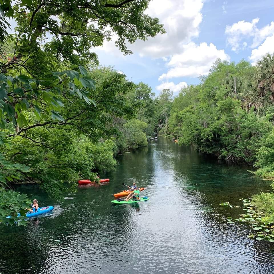 Bay County Sheriff tweet media