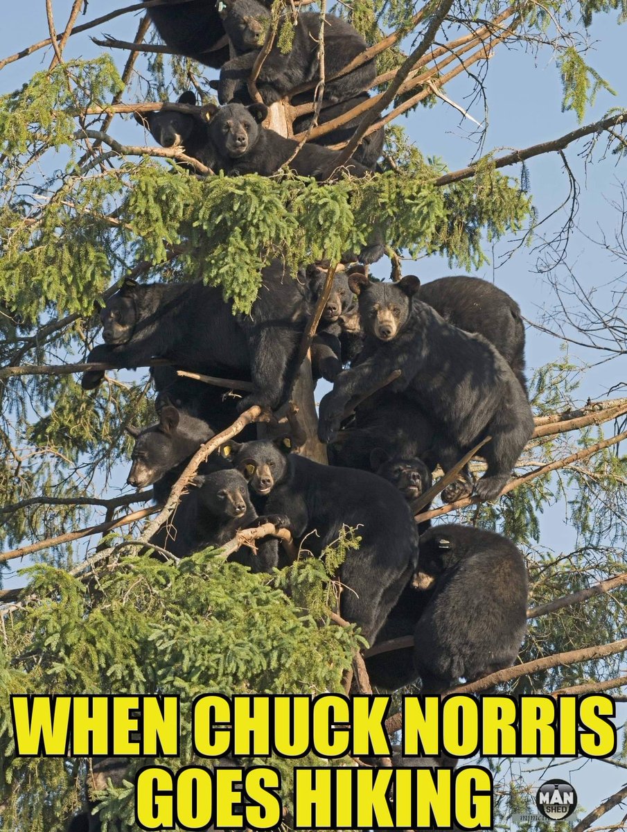 I think we need Mr. Norris to go hunting with us. LOL