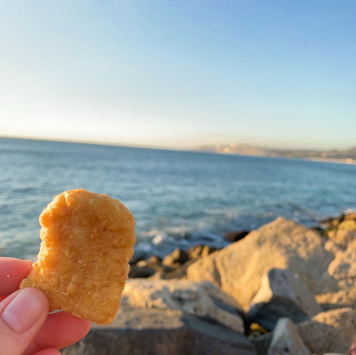 emily_wrong's tweet photo. nugs with a view ft. fries https://t.co/ogqmXBcweP