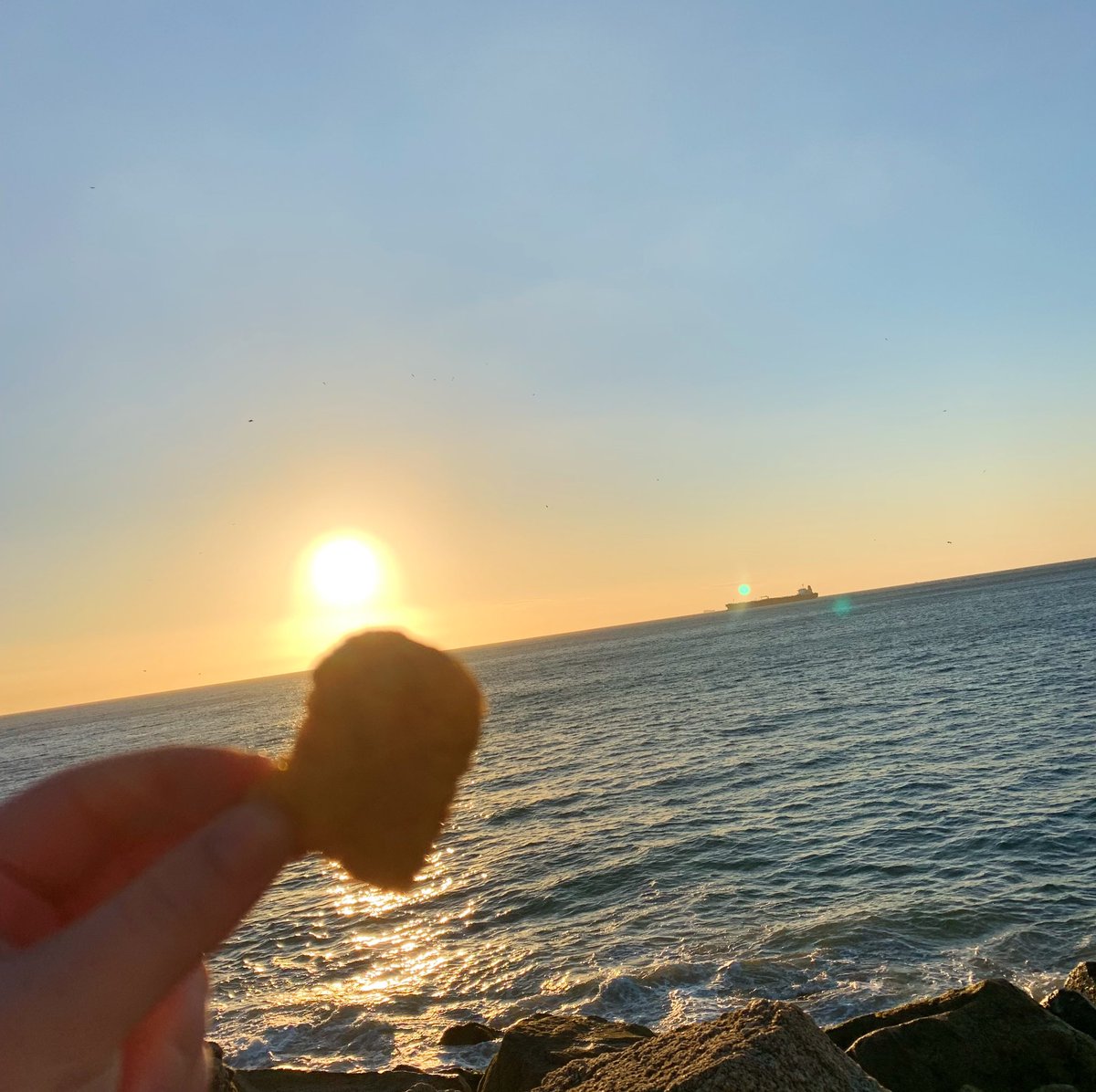 emily_wrong's tweet photo. nugs with a view ft. fries https://t.co/ogqmXBcweP
