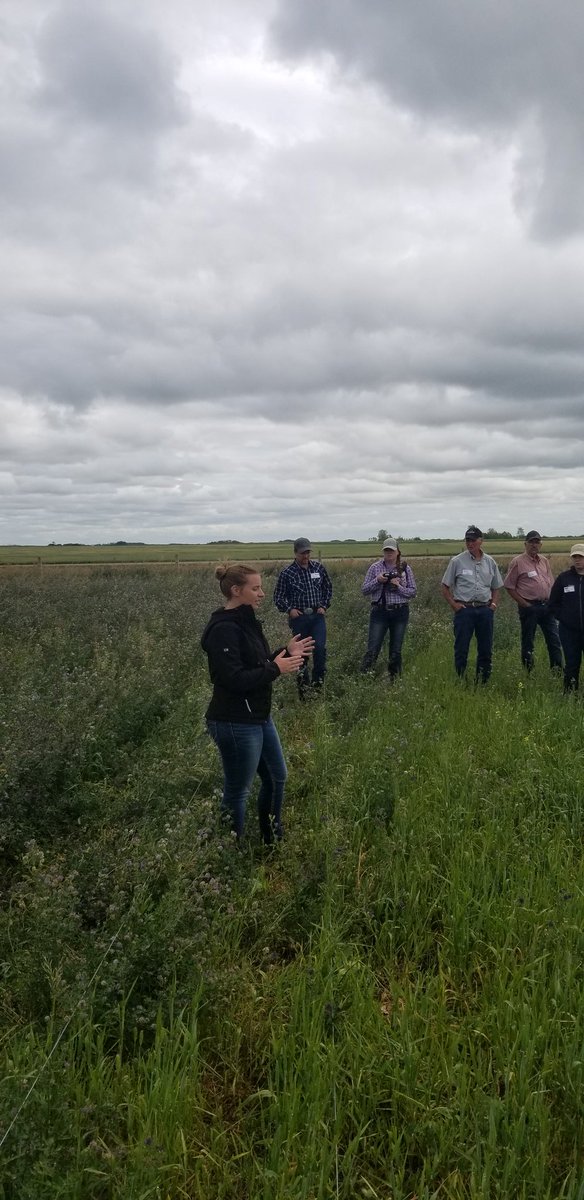 DrBart_Beef's tweet photo. Great day touring #Saskatchewan #Angus members + @toner_bob at @LFCE_usask talking #AppliedBeefResearch #AppliedForageResearch with @sim_cassidy @LanaHaight @Janelle_Smith92 @agbiousask https://t.co/BSHygipcCm