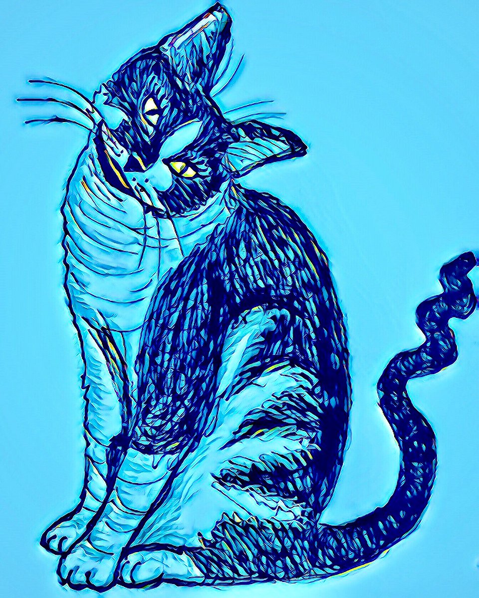 graefunkdesign's tweet photo. Princess Mia Morticia Thermopolous Hunking Gerussi @jasper_and_mia #illustration #digitalillustration #catillustration #catdrawing #kitten #evilkitty #drawing #penandink #graefunkdesign #blackandwhitecat #cat #demoncat #catportrait #miamorticiathecat #nefariouskitty #uptonogood https://t.co/qSq8VlkLjL