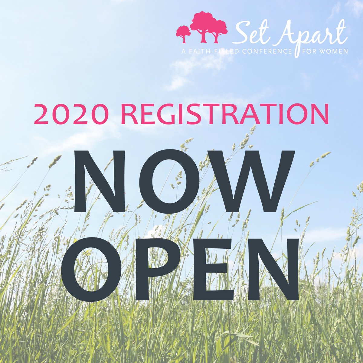 SetApartMN's tweet image. setapartconference.com/registration.h…