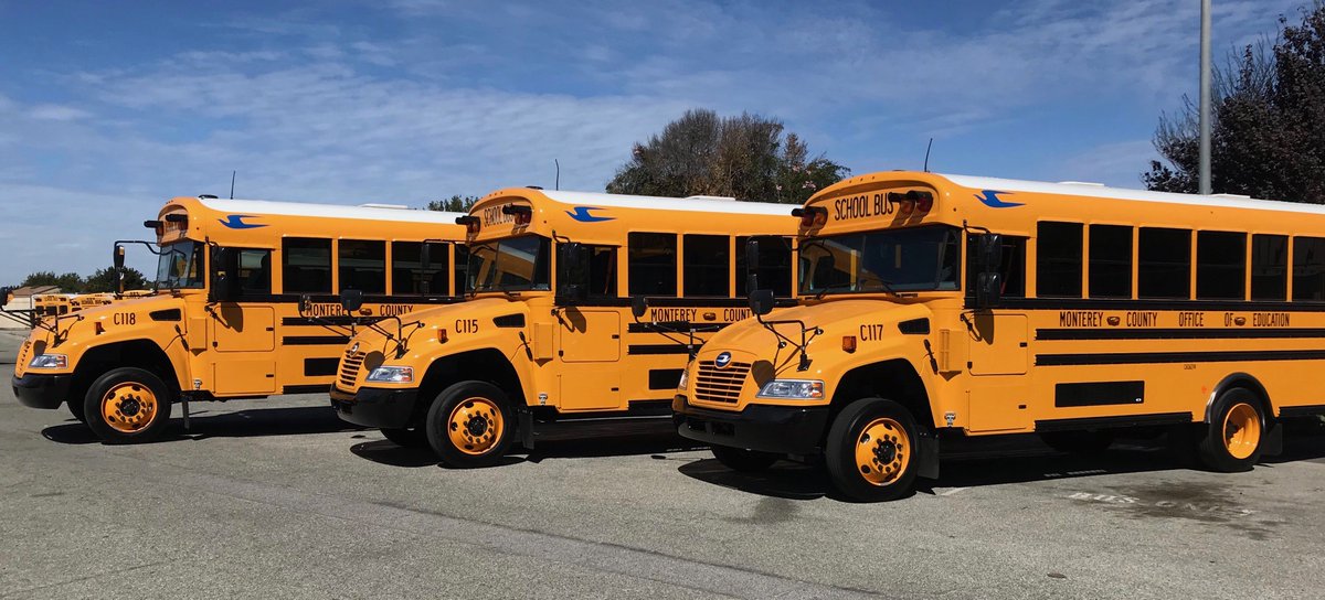 City of Diamondhead tweet media