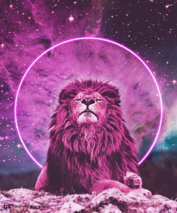 Naked Numerology ® tweet media