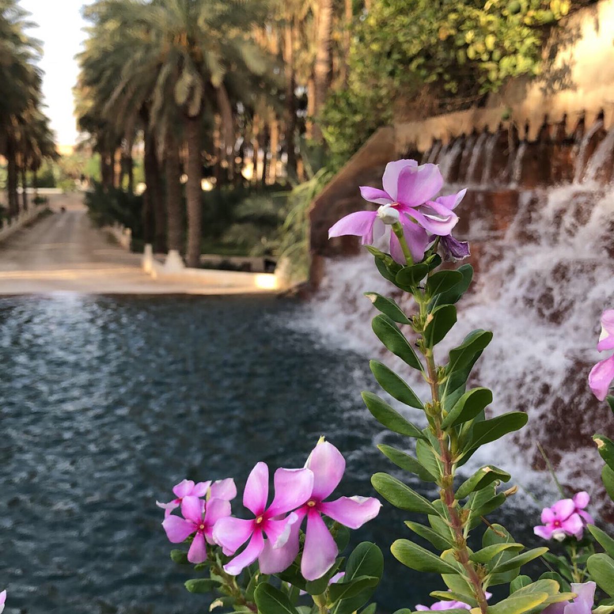 وأكرم الناس ما بين الورى رجل
تقضى على يده للناس حاجات
#الشافعي
 #أدب