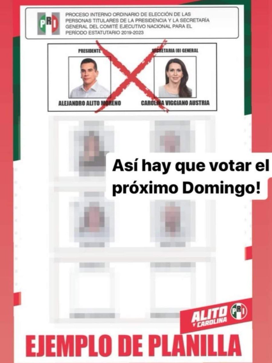 ctmapodaca's tweet photo. Por un PRI con visión de futuro yo voy con los candidatos @alitomorenoc y @caroviggiano .
#Eleccion11Agosto https://t.co/OsI1EcTwKo