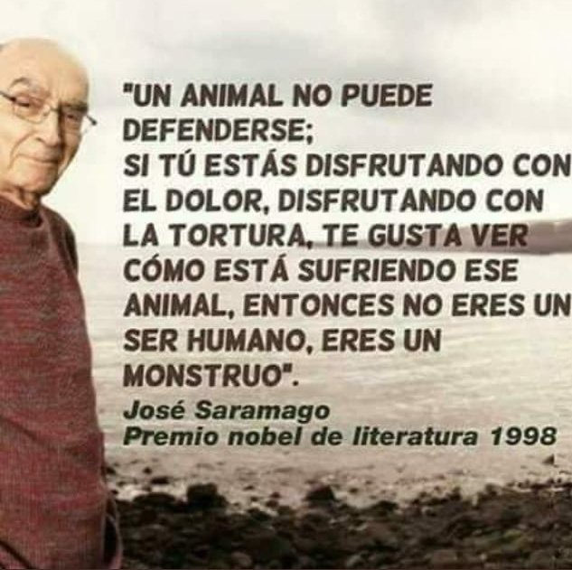 Negra_start's tweet photo. #PorqueSoyMexicano y porque soy un ser humano yo amo y defiendo a los animales 🐶♥️🐈🐾🤗 a todos!! https://t.co/bCtt4iq39p