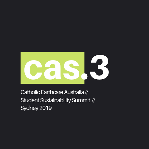 yCathEarthcare's tweet photo. Launching #cas3 youth summit on climate and the environment! We've still got places for high school students, PM more info. @CathNews @CathSchoolsNSW @CathEarthcare @CathEd_DoW @CatholicEdParra @mncathschools @SydArchdiocese @BrokenBayDioc @LaudatoSiGen https://t.co/v7kZ5iogtU