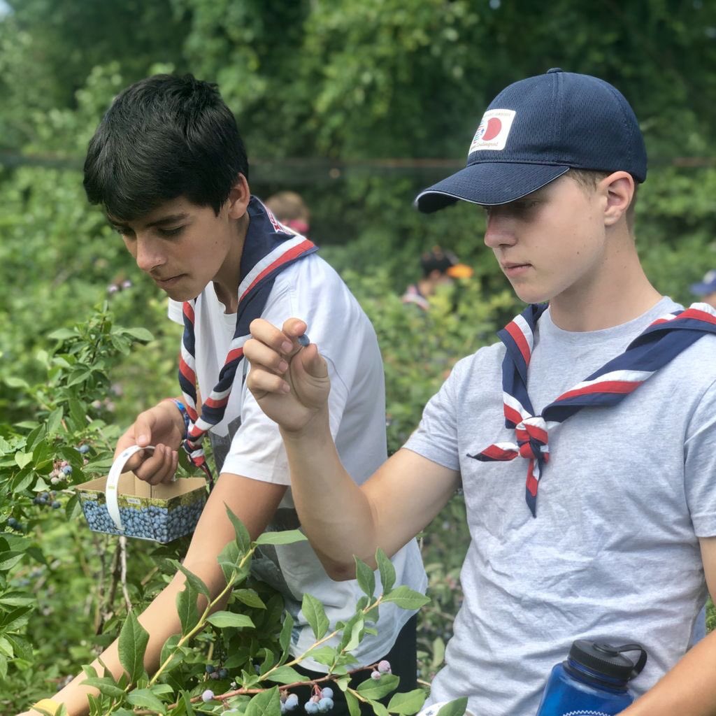 All 100 Units are across Canada and enjoying a taste of what Scouting is like here. We hope they’re having the most fantastic time - keep the photos coming guys! #UK24WSJ