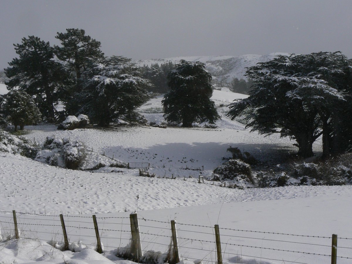 elericevans's tweet photo. Mum sent me some photos of the snow they've received in South Otago recently just to let me know the fun I'm missing out on. So if someone could please invent a teleportation device asap I'd be very grateful! #missingallthefun #Ilovesnow ❄️❄️❄️ https://t.co/9ithczWguB