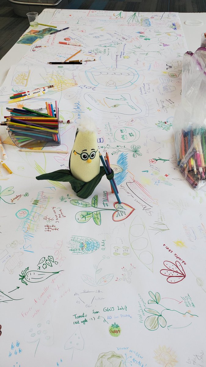 franknfoode's tweet photo. Some great doodles and drawings on the #DrawYourScience table at #PlantBio19! If you love combining science and art, drop us a note at https://t.co/MhGua090fp if you want to develop it for #SciComm. https://t.co/GNAUFGLLKI