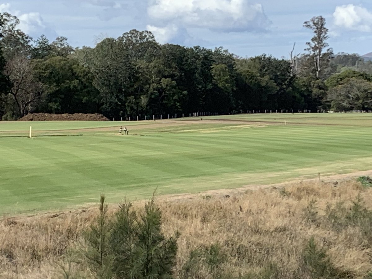 All Turf Solutions tweet media