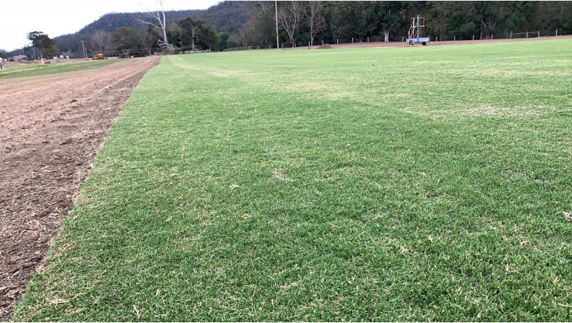 All Turf Solutions tweet media