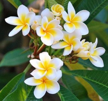 AngelaMariabs20's tweet photo. A beautiful day for everyone

💛💛🍃🌻🌻💛💛🌼🌼🍃💛💛 https://t.co/IcucuUcg73