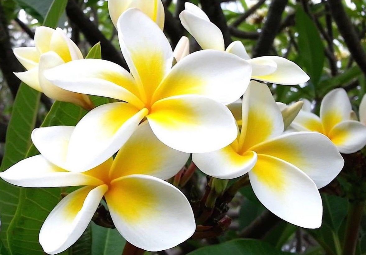 AngelaMariabs20's tweet photo. A beautiful day for everyone

💛💛🍃🌻🌻💛💛🌼🌼🍃💛💛 https://t.co/IcucuUcg73
