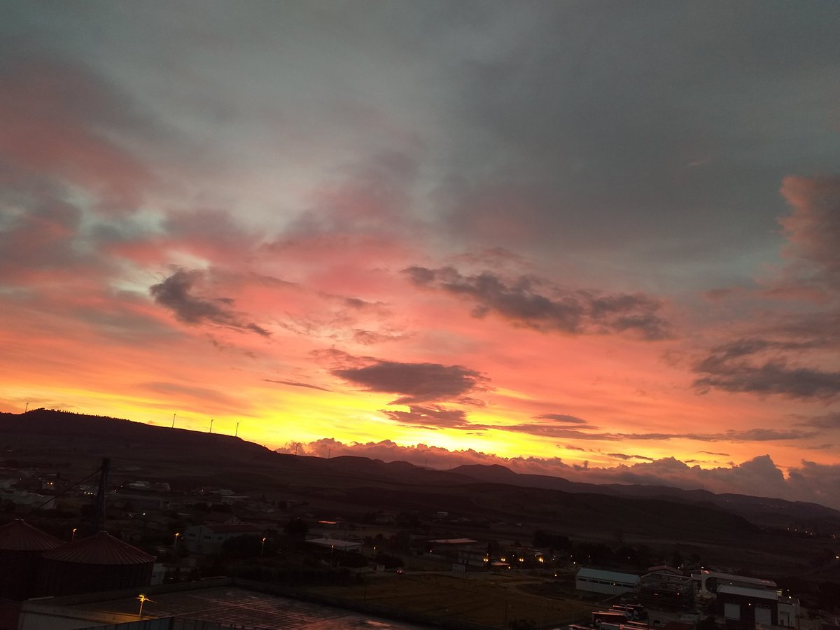 lisadagliocchib's tweet photo. l'alba riempì tutte le coppe del suo vino
e il sole stabilì la sua presenza celeste,
mentre il crudele amore m'assediava senza tregua
finché...
aprì nel mio cuore una strada bruciante 

🖊️Neruda 
📸 by Lisa

#UnEstateCon i #VentagliDiParole 

@VentagliP https://t.co/MMDnjTs0RG
