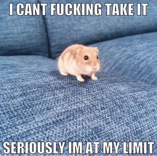 Ya girl, after dealing with Xiba for extended periods of time: