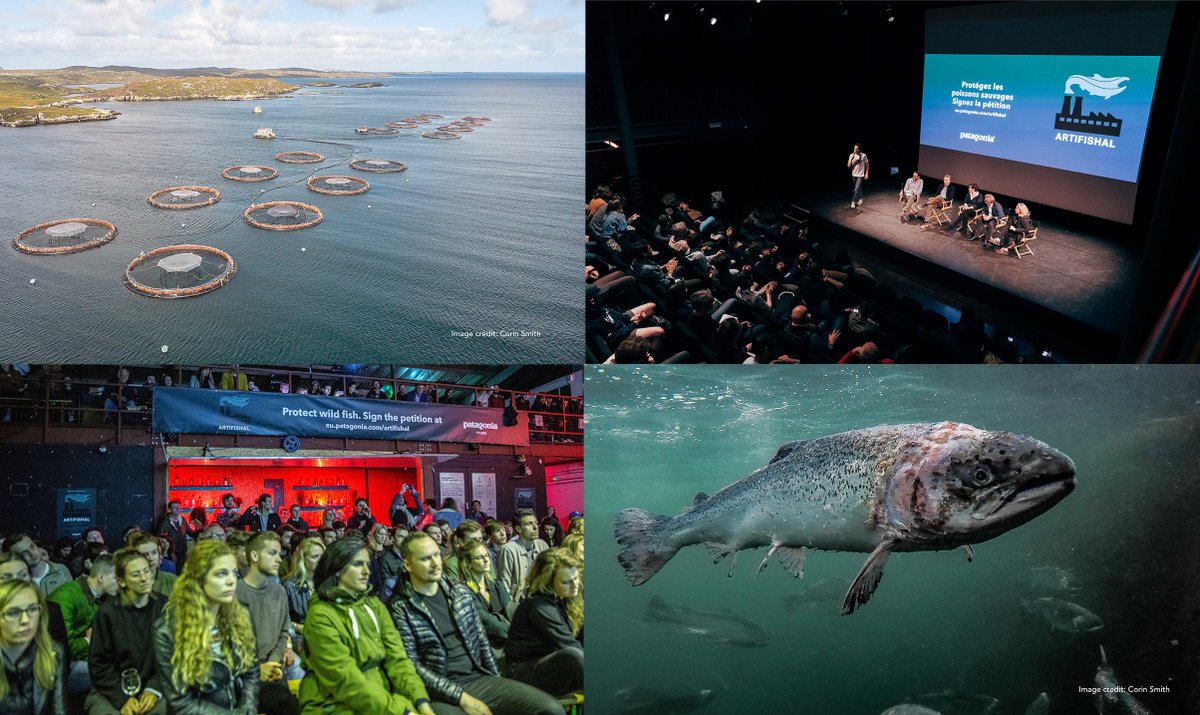 WildFishCons's tweet photo. LAST CALL to get your tickets for our Inverness event.

Open cage salmon farms and enhancement hatcheries. How do they impact wild fish populations?

https://t.co/GtCaywZhSx https://t.co/6AC84OWUVb