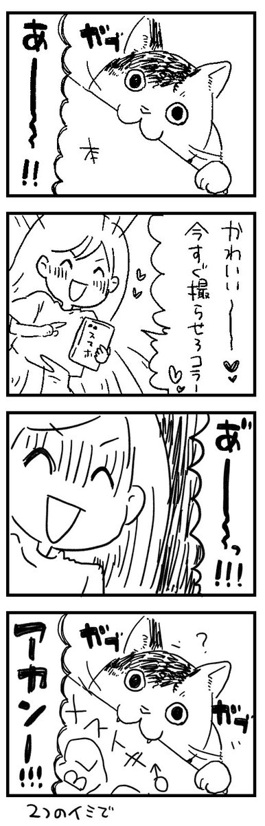 猫あるある 