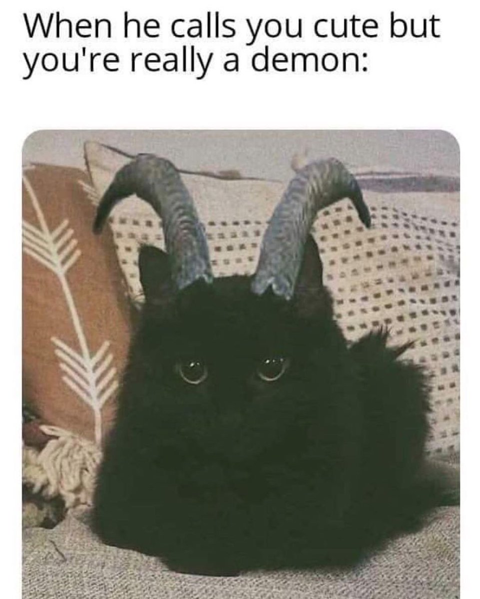 emptyfacesinc's tweet photo. 😽😈

#Repost: @Hellandhighhorror https://t.co/Pz24G1nIdW