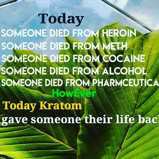 Kratom United tweet media