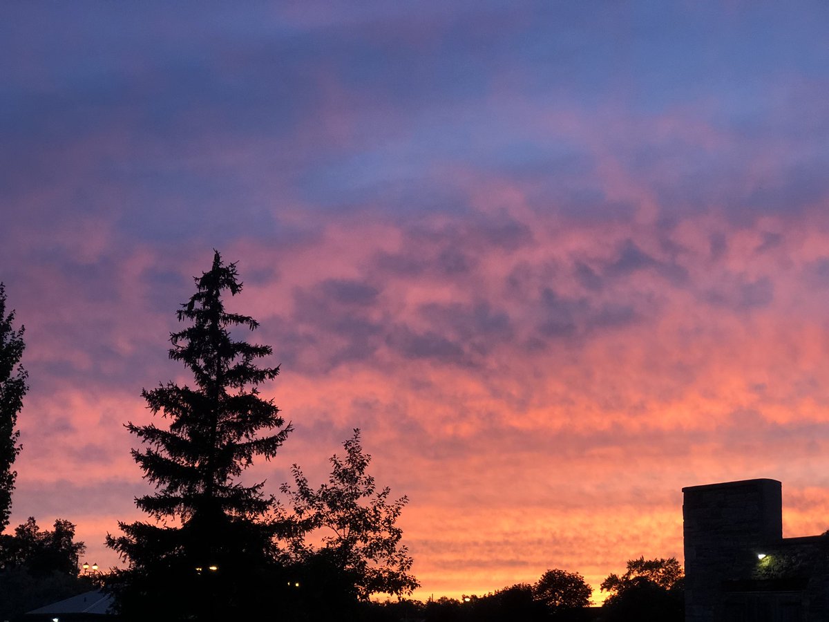 brutalbennett's tweet photo. Hi I love the sky https://t.co/usnCbicDon