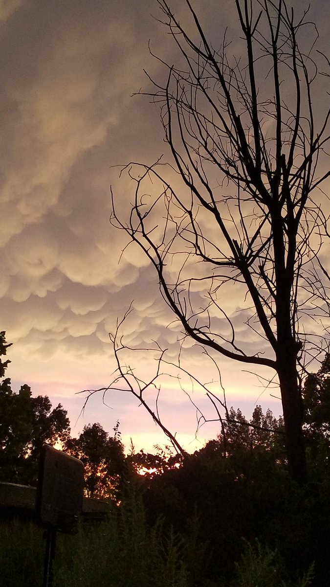 Jthrill424's tweet photo. Nortonville Kentucky skies no filter @Wayne_C_Hart @RonanRhodes @Stacey_B_May  #kentuckyweather #nofilter https://t.co/ZpXxhvX29P