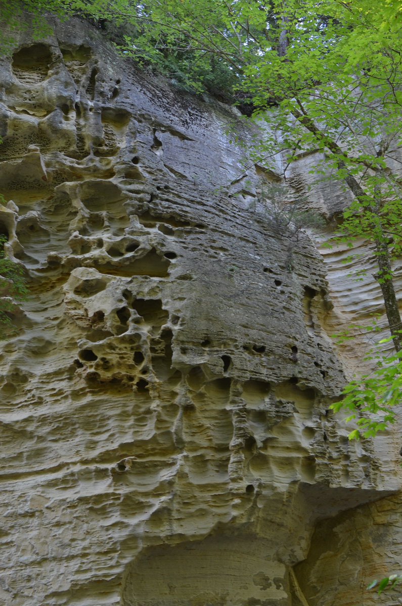 Honeycomb Rock at Pine Hills Nature Preserve. #hikingindiana