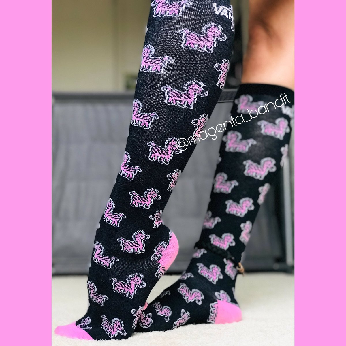 MagentaBandit's tweet photo. #magentabandit #sockqueen #footfetısh #sockfetish #vans #vanssocks #RastaClat #zebras https://t.co/7KhOPAEl2Y