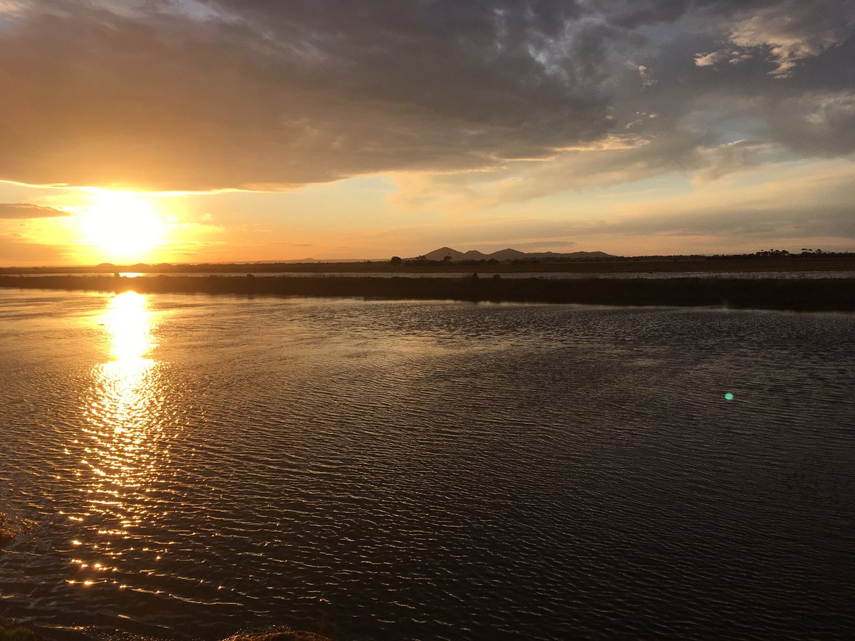 Callum127's tweet photo. Was an absolute pleasure helping out the @BlueCarbonLab team the last couple of days with the  #VicWetlandRehab project. Thanks @PeterMacreadie for the waders! #VolunteerWithBCL https://t.co/kHqxK0iQrP