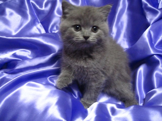 三岡 陽 tweet media