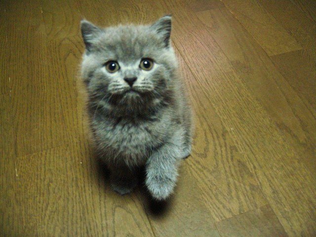 三岡 陽 tweet media