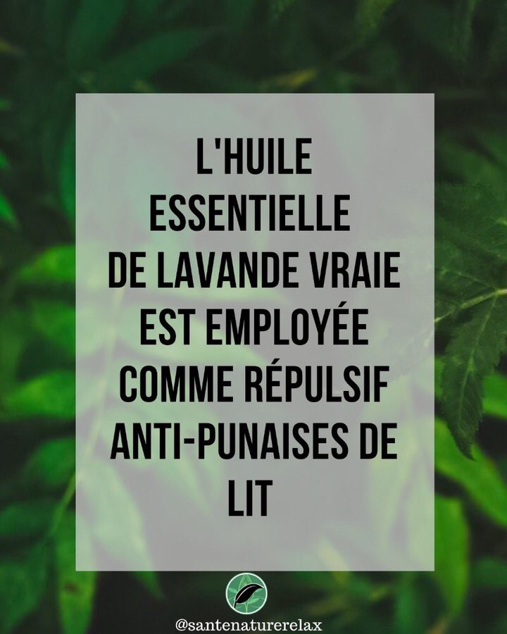 SanteNatRelax's tweet photo. L'huile essentielle de lavande vraie est employée comme répulsif anti-punaises de lit.
#punaisesdelit #nuisibles #insecte #petit #he #huilesessentielles #lavandevraie #lavande #repulsif #insectifuge https://t.co/o79nUBn7Y3