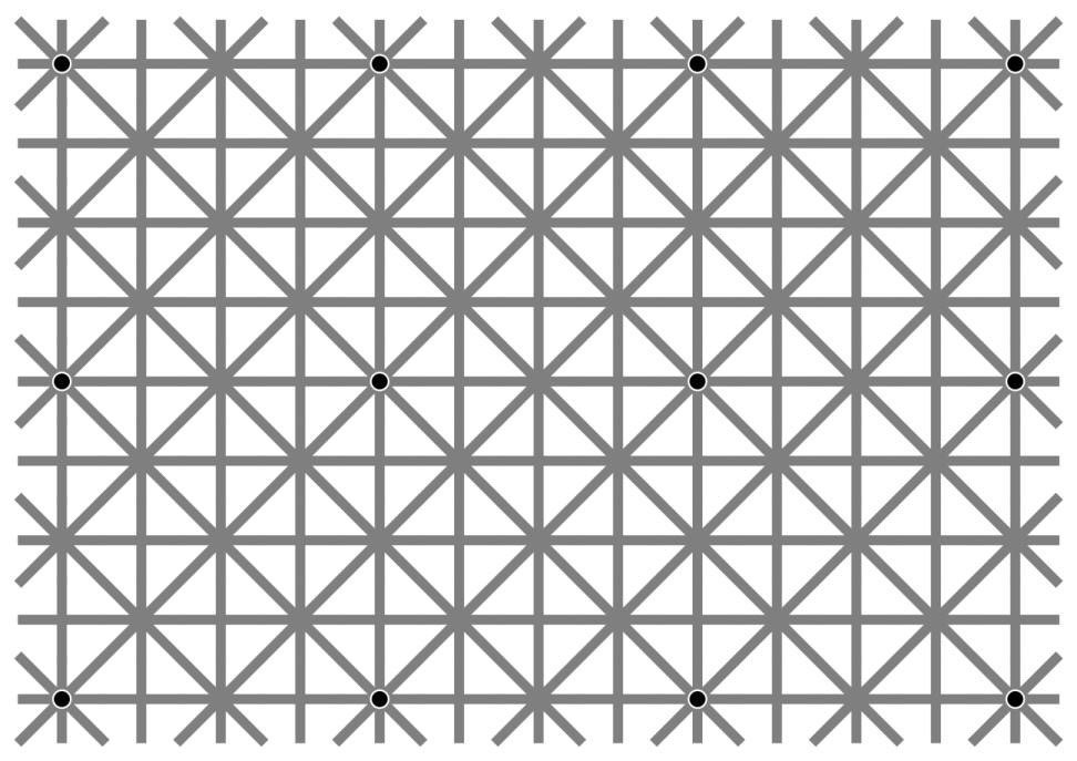 this is an old optical illusion where there are 12 black dots in the pic but most ppl can't see all of them at once. since u aren't able to focus on all the dots simultaneously, ur brain makes stuff up to fill in the gaps. this is a good metaphor for life.

perception != reality