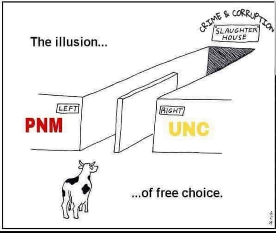 ngptt tweet picture