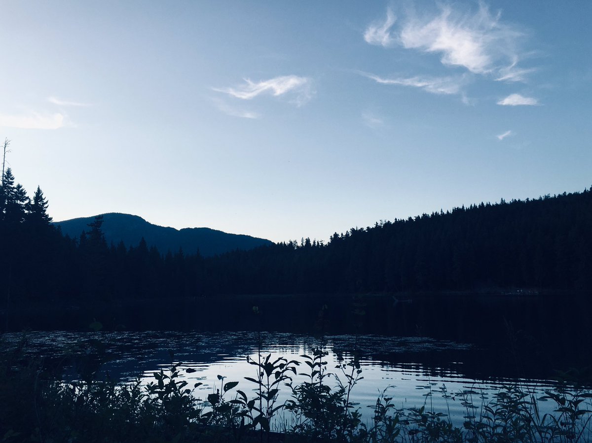 Dr_LangP's tweet photo. Fascinating evening @GoWhistler witnessing mass migration of @IUCNRedList #westerntoad &amp; learning how conservation volunteers are making a difference by leading practical actions to prevent further population decline 🐸 🇨🇦 #LostLake @Visit_Canada @Canada https://t.co/0KuyXlBGqX