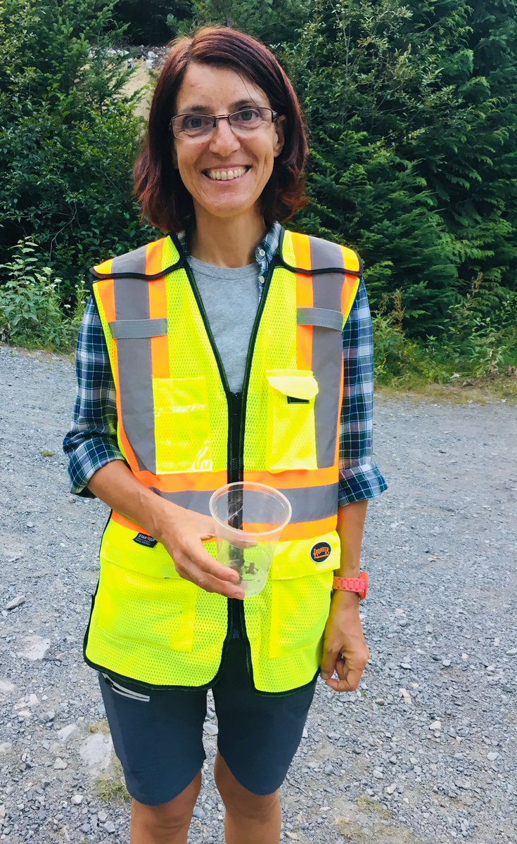 Dr_LangP's tweet photo. Fascinating evening @GoWhistler witnessing mass migration of @IUCNRedList #westerntoad &amp; learning how conservation volunteers are making a difference by leading practical actions to prevent further population decline 🐸 🇨🇦 #LostLake @Visit_Canada @Canada https://t.co/0KuyXlBGqX