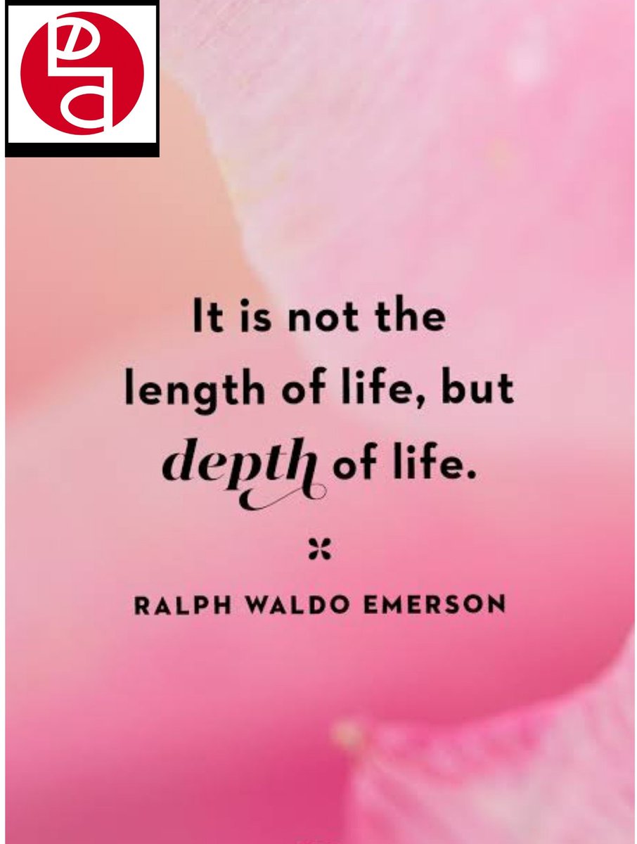 BananiVista's tweet photo. #WednesdayThoughts #WednesdayMotivation #livingandexploring #bananivista https://t.co/tBNzeEI5B8