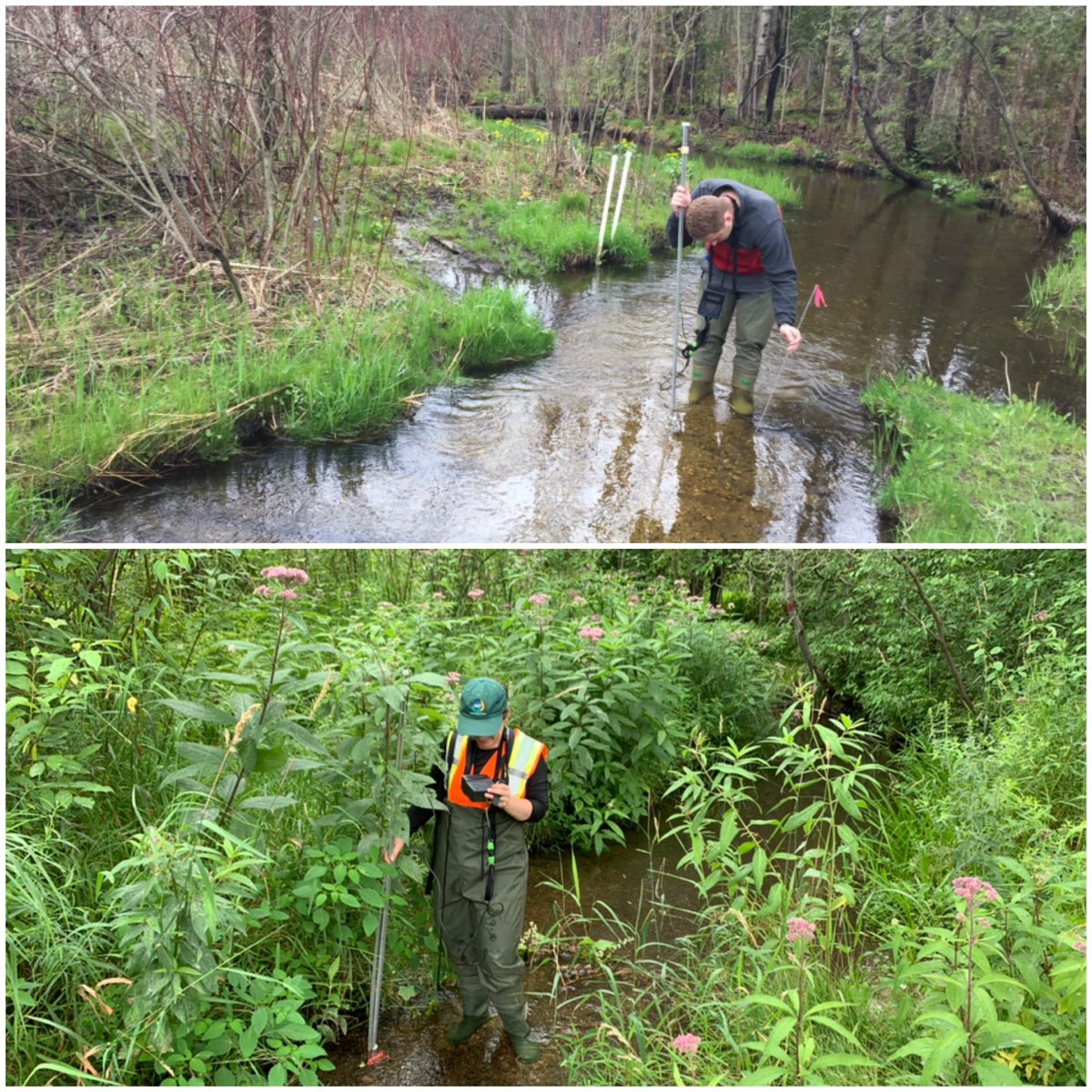 Same spot: May 10th vs Today (August 6th) #LaurelCreek2019