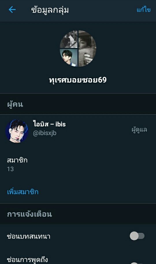 ibis tweet media