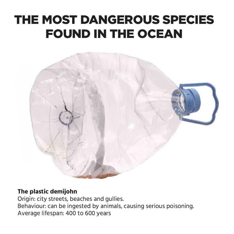 pia_mimaropa's tweet photo. Before you buy or take home any of these plastics, take note of how long it will take for them to decompose. | @cleanseasph
#NoToPlasticPollution https://t.co/0lSCaItDYM