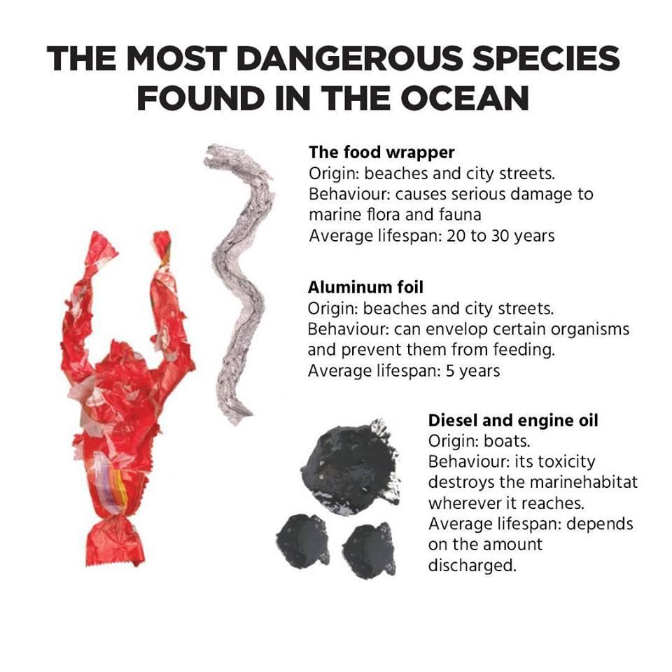 pia_mimaropa's tweet photo. Before you buy or take home any of these plastics, take note of how long it will take for them to decompose. | @cleanseasph
#NoToPlasticPollution https://t.co/0lSCaItDYM