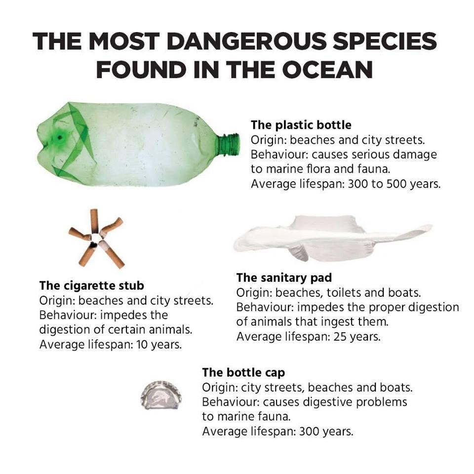pia_mimaropa's tweet photo. Before you buy or take home any of these plastics, take note of how long it will take for them to decompose. | @cleanseasph
#NoToPlasticPollution https://t.co/0lSCaItDYM